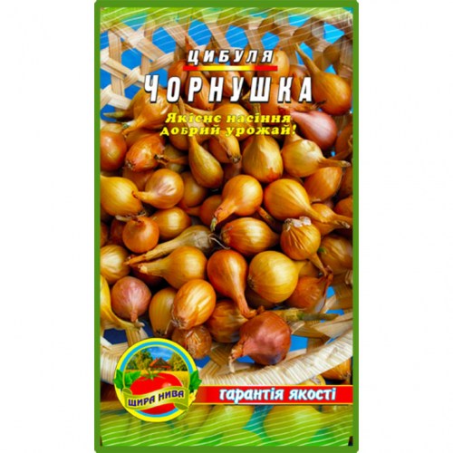 Лук чернушка на севок