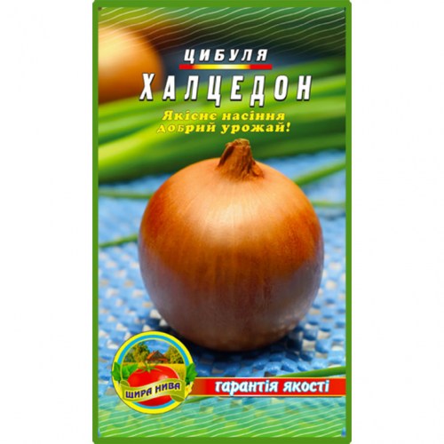 Лук Халцедон
