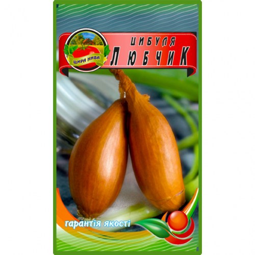 Лук Любчик