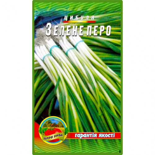 Лук на зелень
