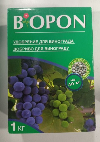 vinograd