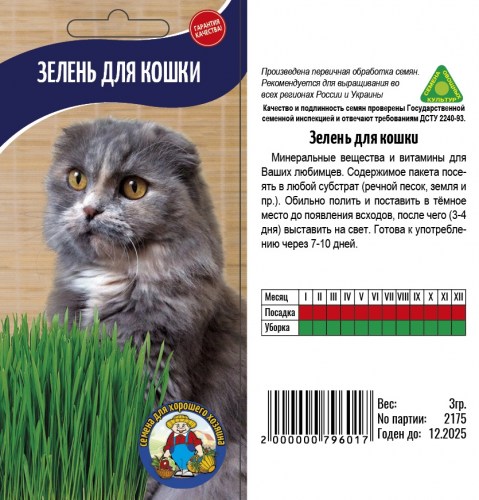 Бархатцы Кармен